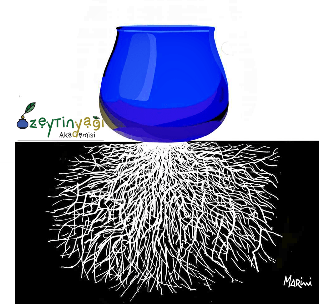 Zeytinyağı Akademisi