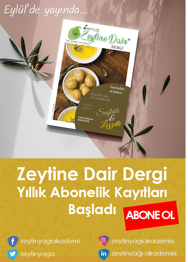 dergi