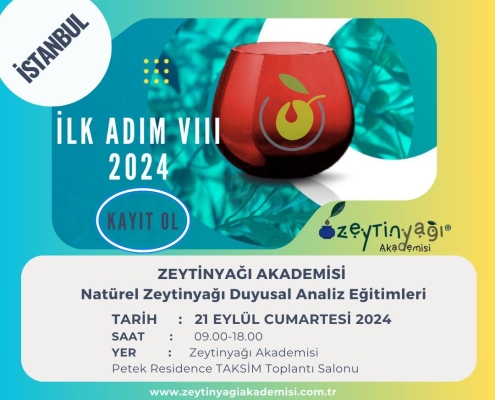 İlk Adım VIII İstanbul