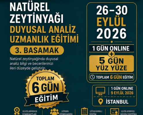 III. BAsmak Eğitim II