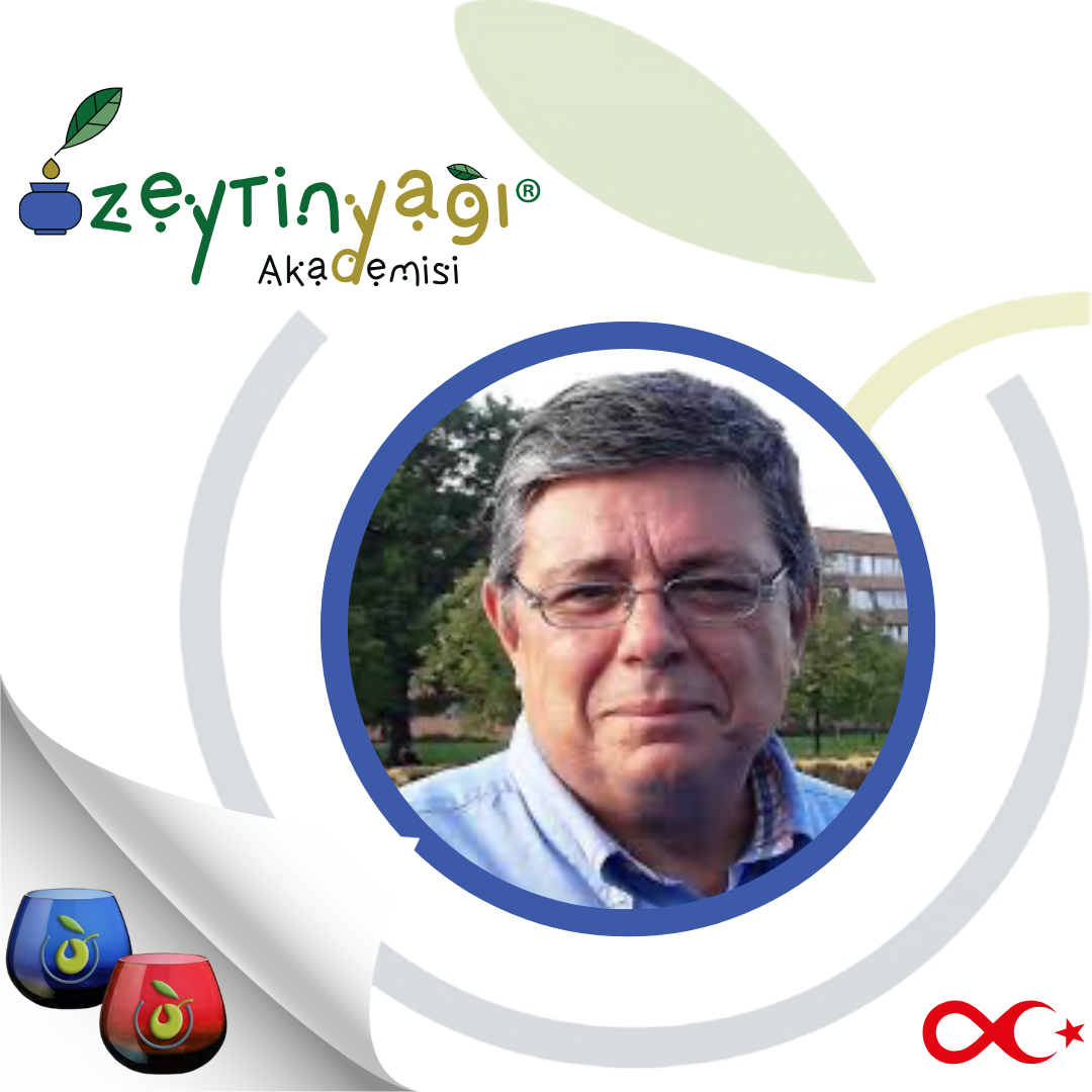 Mor Basit Eğitmen Eğitim Instagram Gönderisi.zip - EFSTATHİOS PANAGOU
