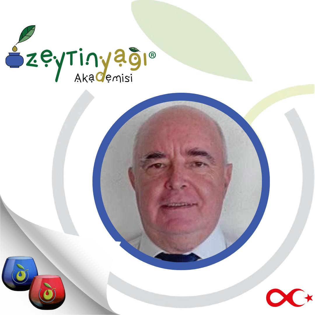 Mor Basit Eğitmen Eğitim Instagram Gönderisi.zip - JORGE PEREIRA