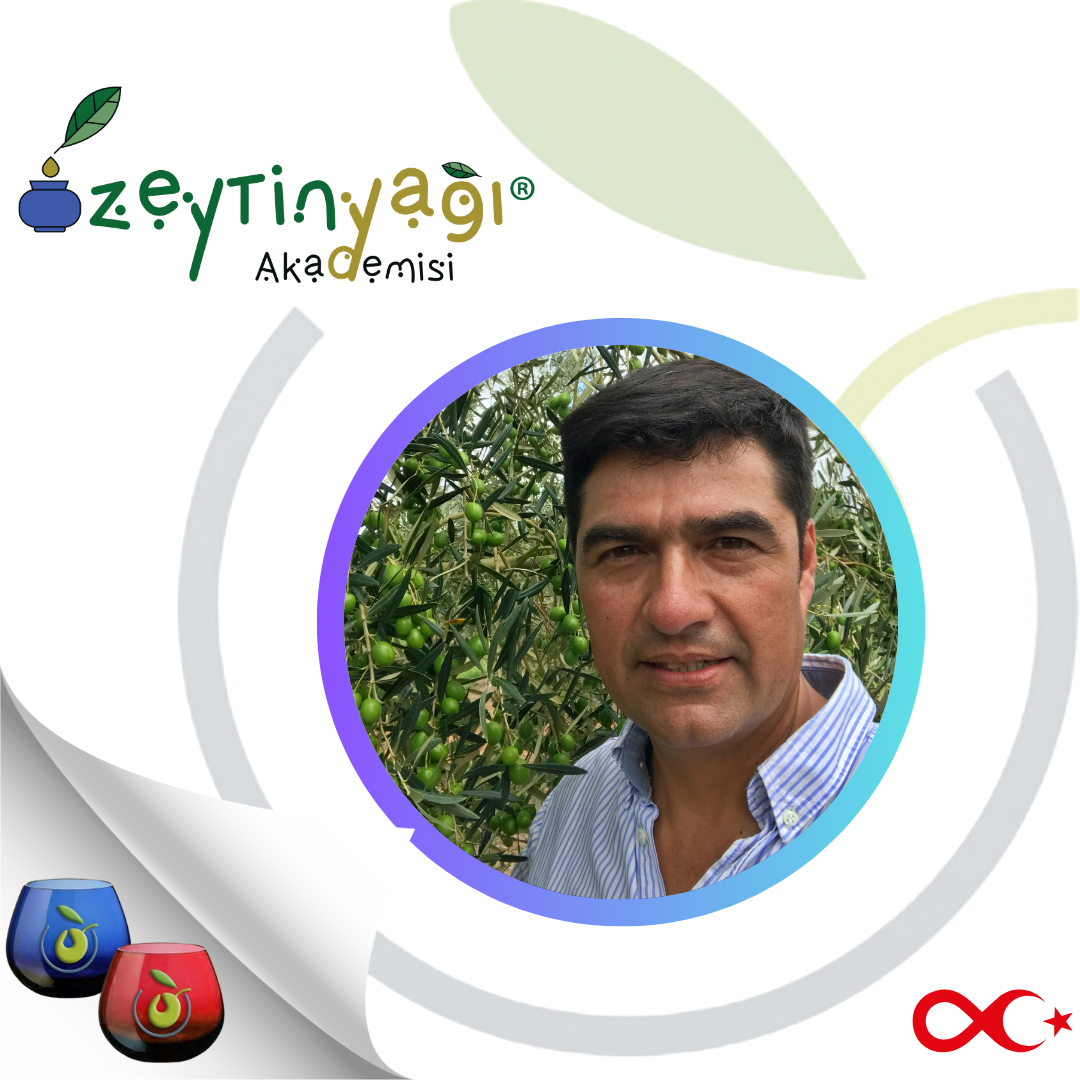 Mor Basit Eğitmen Eğitim Instagram Gönderisi.zip - Sergio Omar GOMEZ OTTINO
