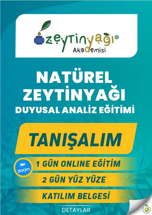 z_akademi_slider_600x850_3