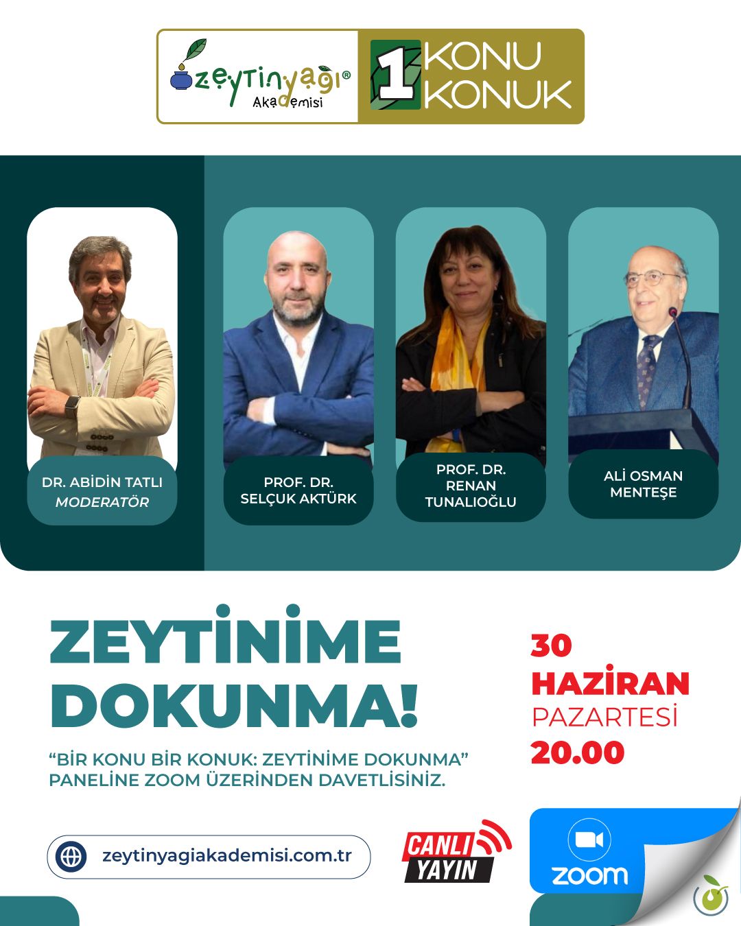 Zeytinime Dokunma I