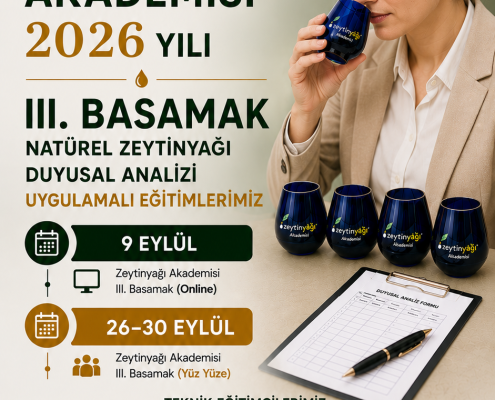 Teknik eğitimciler